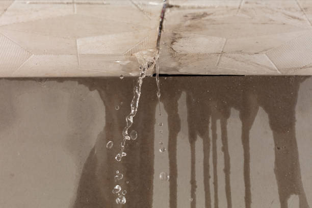 Professional Burst Pipe Cleanup technician working in Meadow, TX